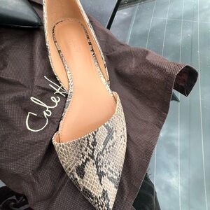 J Crew  Women's Snakeskin Pointed Flats